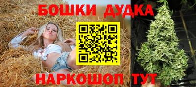 Альфа ПВП Лесосибирск