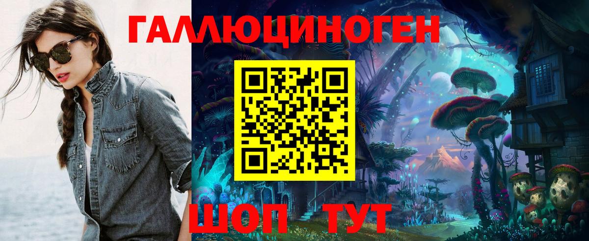 Псилоцибиновые грибы Psilocybine cubensis Ухта